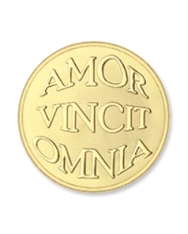 MI MONEDA GRANDE MON-AMO-02-L                                                                       