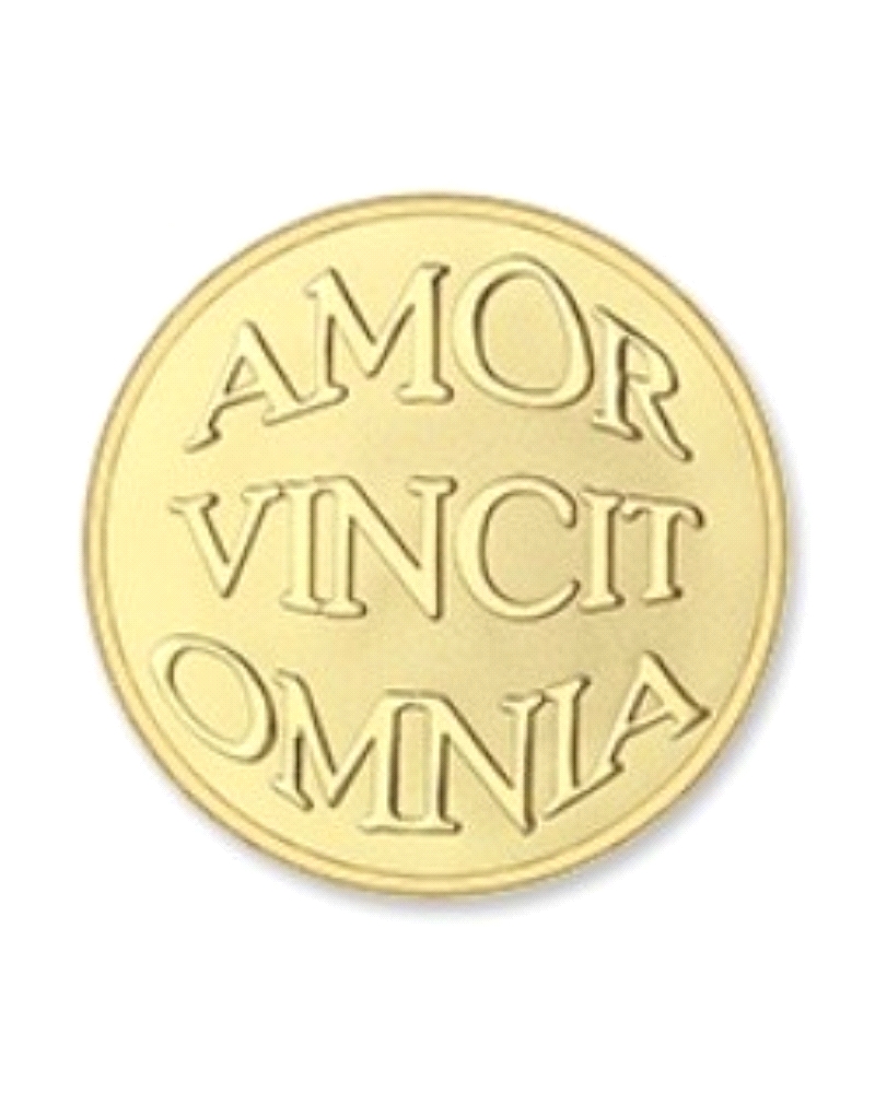 MI MONEDA GRANDE MON-AMO-02-L                                                                       